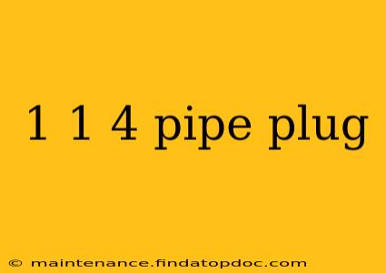 1 1 4 pipe plug