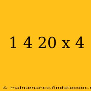 1 4 20 x 4