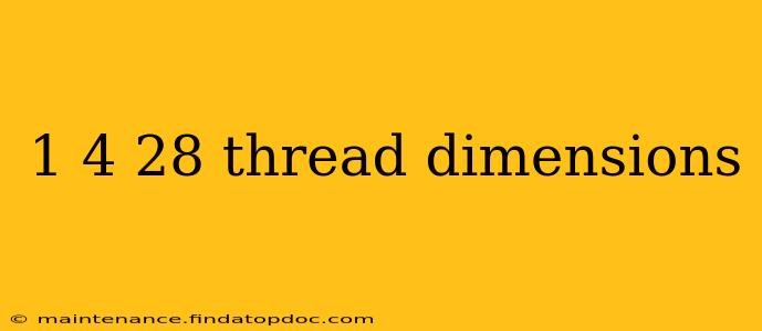 1 4 28 thread dimensions