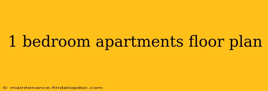 1 bedroom apartments floor plan