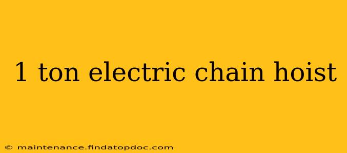 1 ton electric chain hoist