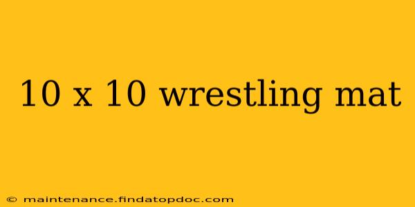 10 x 10 wrestling mat