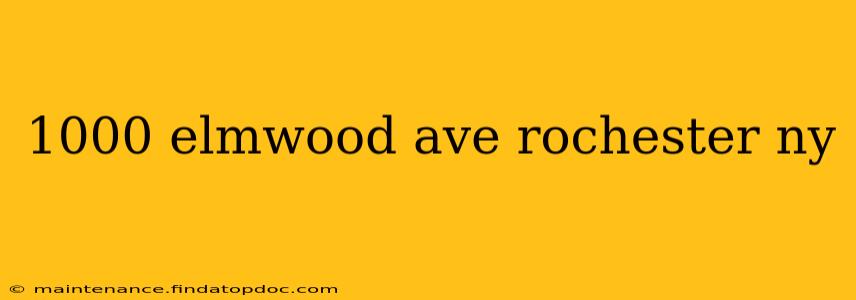 1000 elmwood ave rochester ny