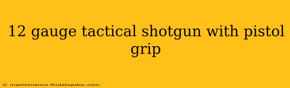 12 gauge tactical shotgun with pistol grip