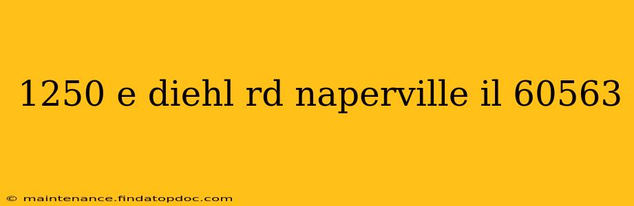 1250 e diehl rd naperville il 60563