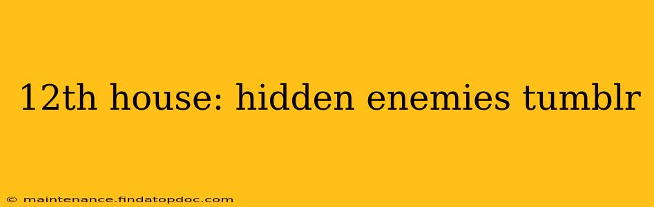 12th house: hidden enemies tumblr