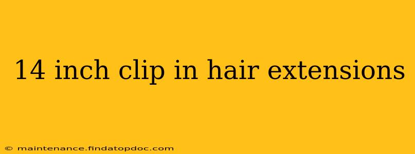 14 inch clip in hair extensions