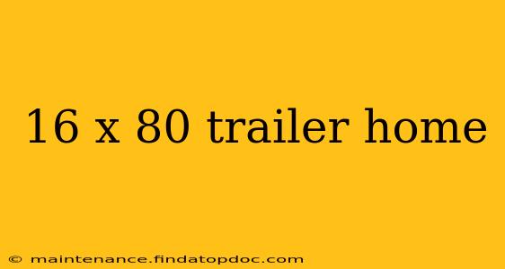16 x 80 trailer home