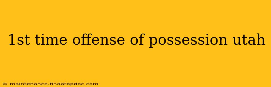 1st time offense of possession utah