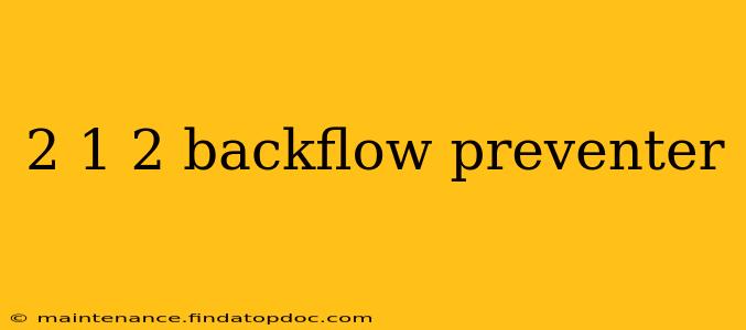 2 1 2 backflow preventer