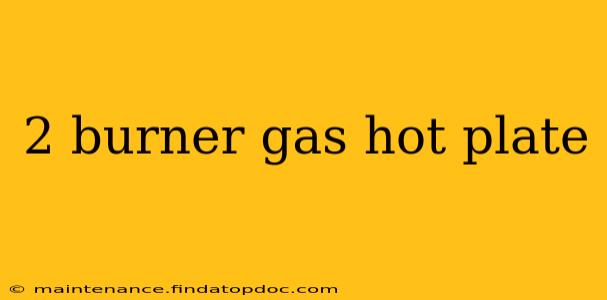 2 burner gas hot plate