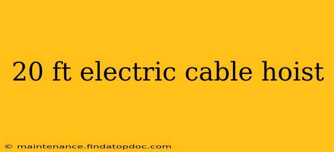 20 ft electric cable hoist