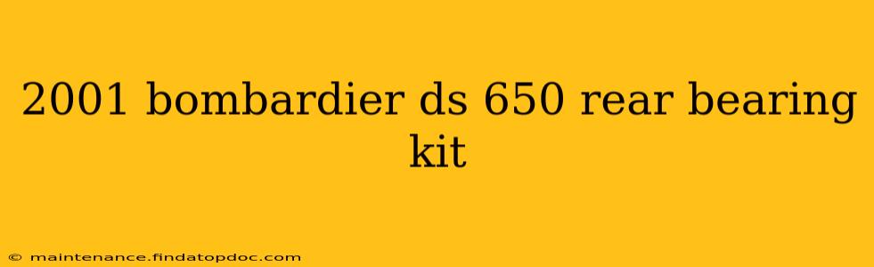 2001 bombardier ds 650 rear bearing kit