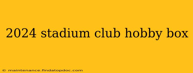 2024 stadium club hobby box