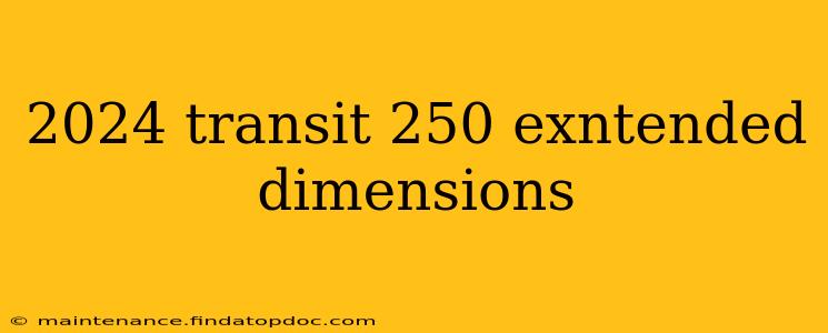 2024 transit 250 exntended dimensions