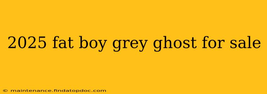 2025 fat boy grey ghost for sale
