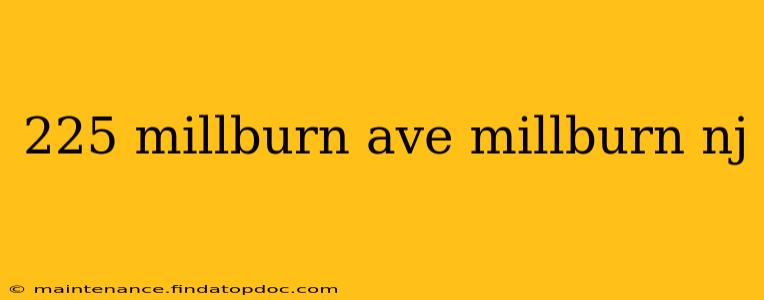225 millburn ave millburn nj