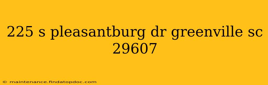 225 s pleasantburg dr greenville sc 29607