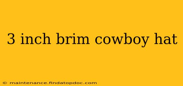 3 inch brim cowboy hat