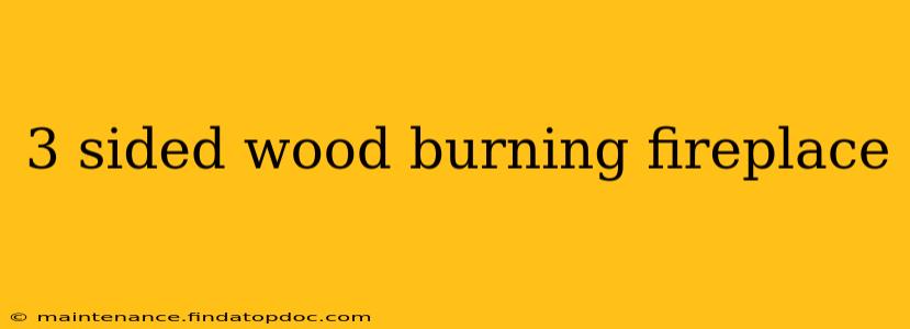 3 sided wood burning fireplace