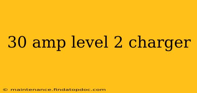 30 amp level 2 charger
