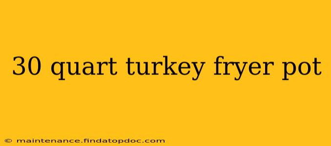 30 quart turkey fryer pot