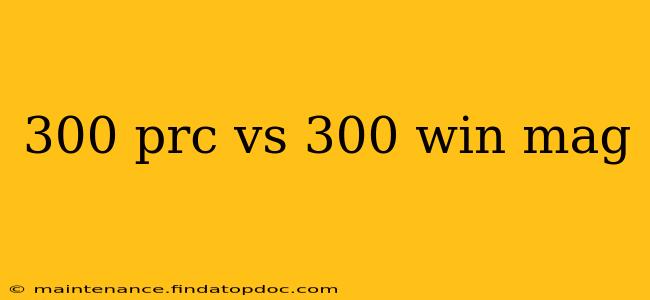300 prc vs 300 win mag