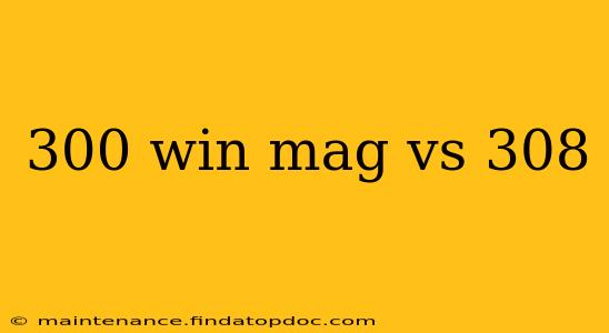 300 win mag vs 308
