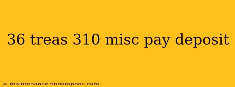 36 treas 310 misc pay deposit