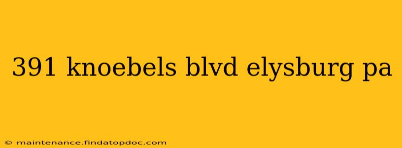 391 knoebels blvd elysburg pa