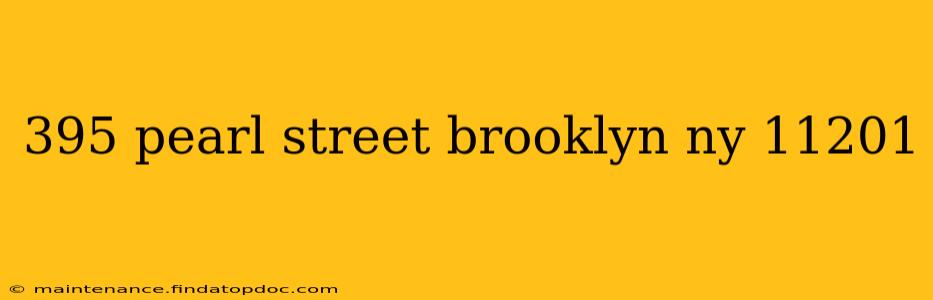 395 pearl street brooklyn ny 11201