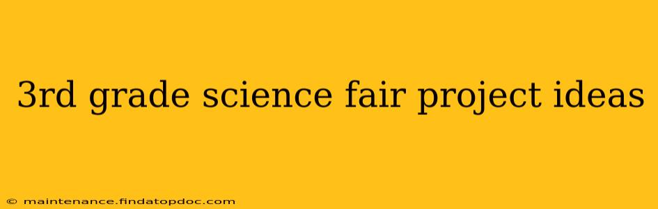 3rd grade science fair project ideas