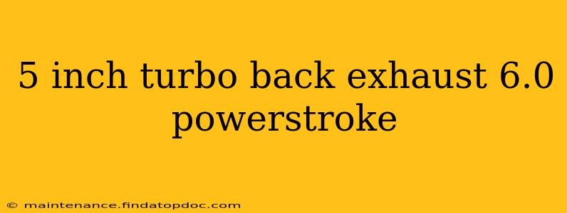 5 inch turbo back exhaust 6.0 powerstroke
