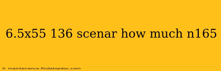 6.5x55 136 scenar how much n165