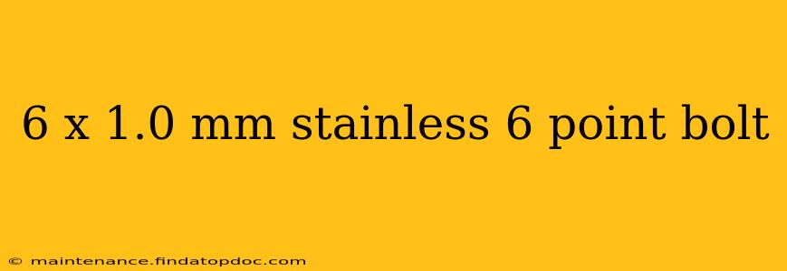 6 x 1.0 mm stainless 6 point bolt