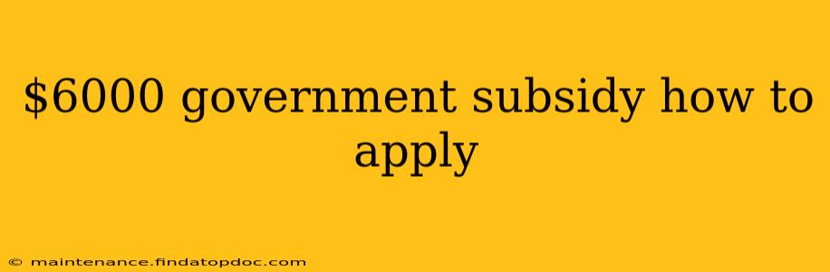 $6000 government subsidy how to apply