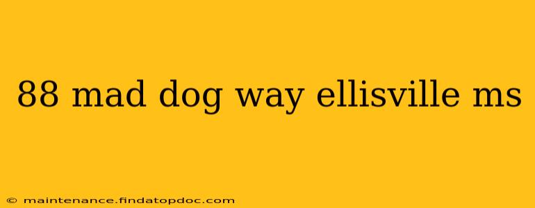 88 mad dog way ellisville ms