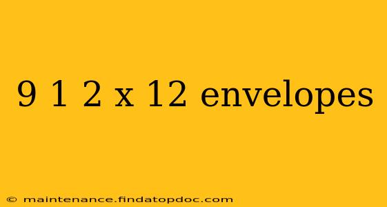 9 1 2 x 12 envelopes