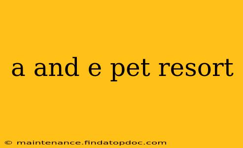 a and e pet resort