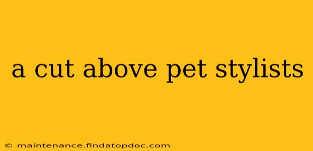 a cut above pet stylists