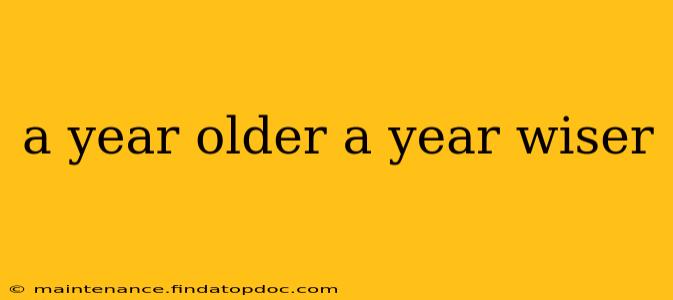 a year older a year wiser