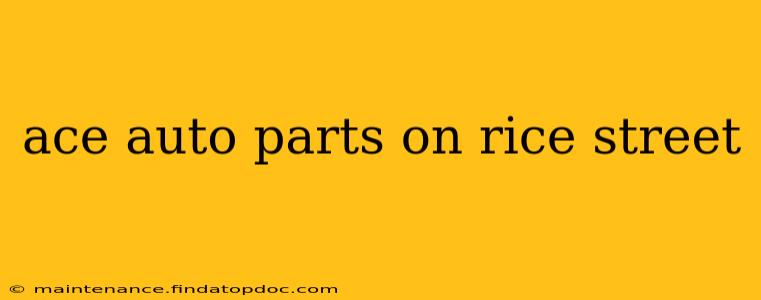 ace auto parts on rice street