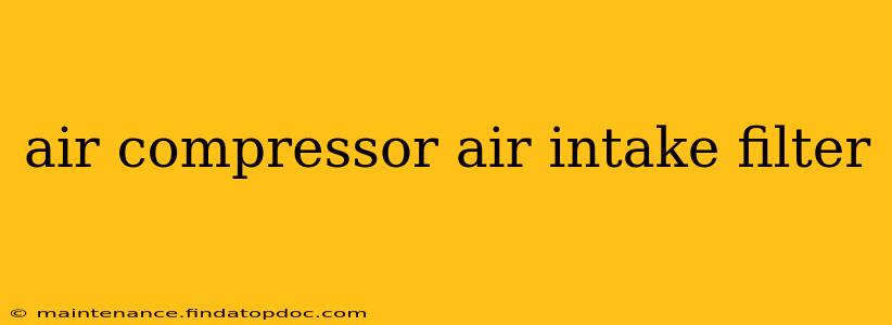 air compressor air intake filter