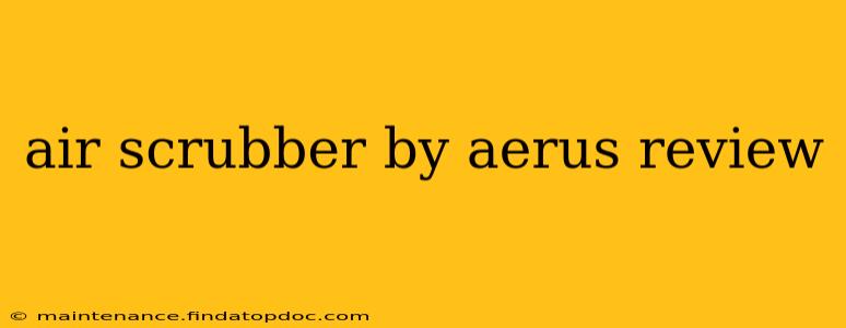 air scrubber by aerus review