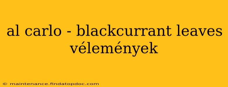 al carlo - blackcurrant leaves vélemények