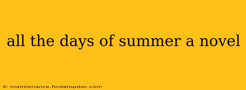 all the days of summer a novel