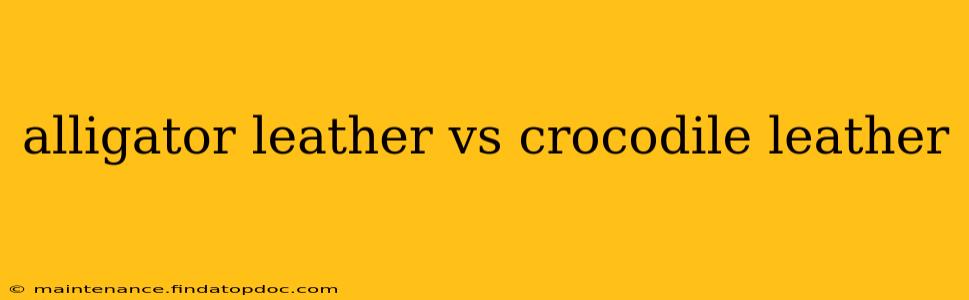 alligator leather vs crocodile leather