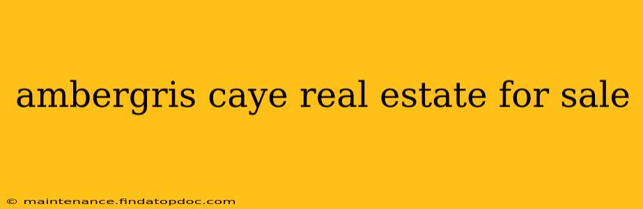 ambergris caye real estate for sale