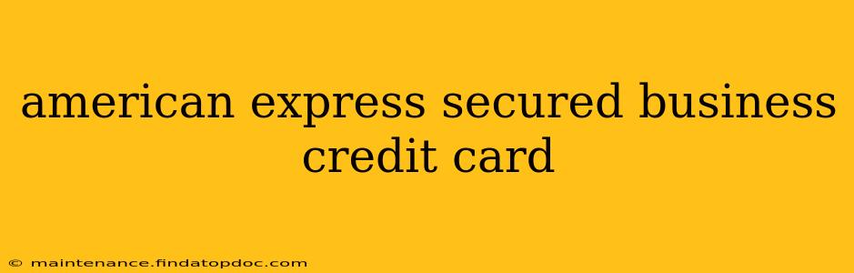 american express secured business credit card