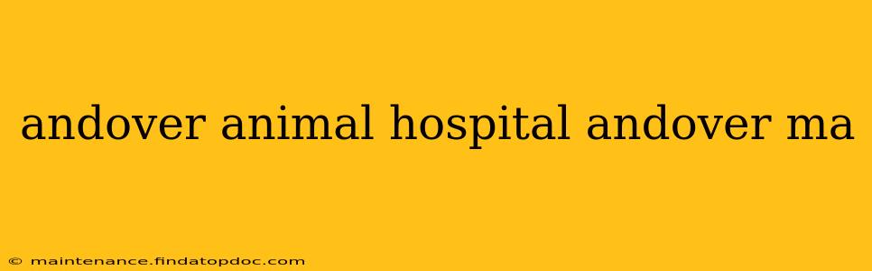 andover animal hospital andover ma